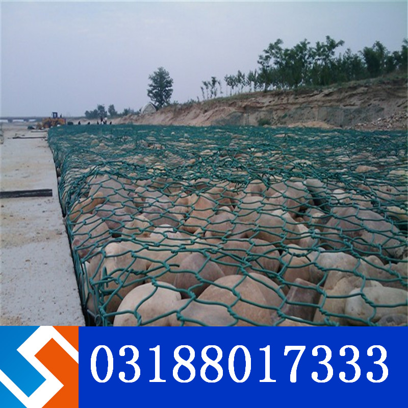 雷諾護墊和賓格籠是一個產品嗎? 雷諾護墊和賓格籠是一個產品嗎?