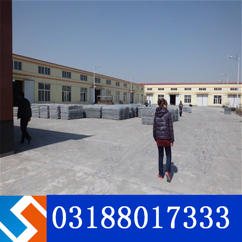 雷諾護墊和賓格籠是一個產品嗎? 雷諾護墊和賓格籠是一個產品嗎?